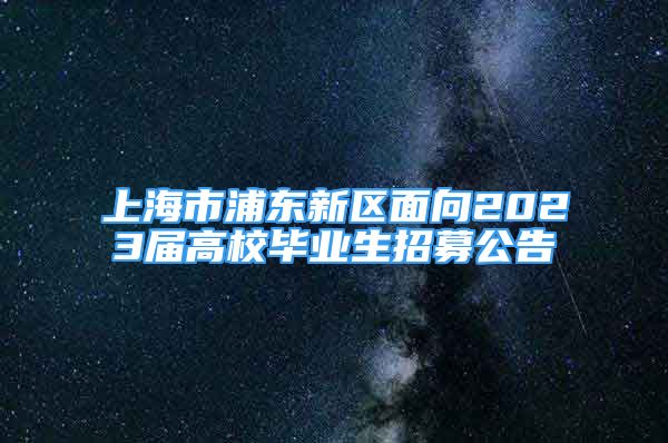 上海市浦东新区面向2023届高校毕业生招募公告