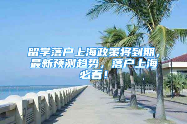 留学落户上海政策将到期，最新预测趋势，落户上海必看！