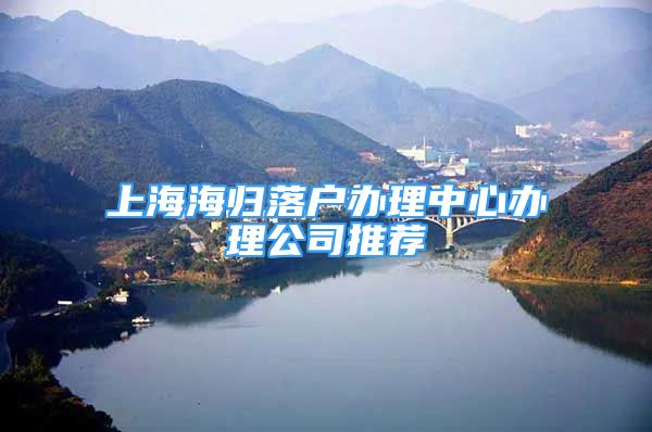 上海海归落户办理中心办理公司推荐