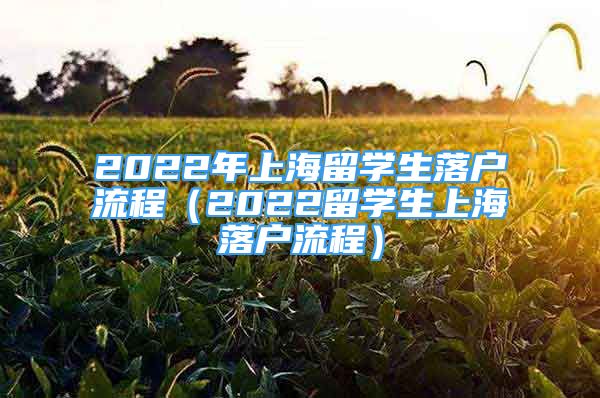 2022年上海留学生落户流程（2022留学生上海落户流程）