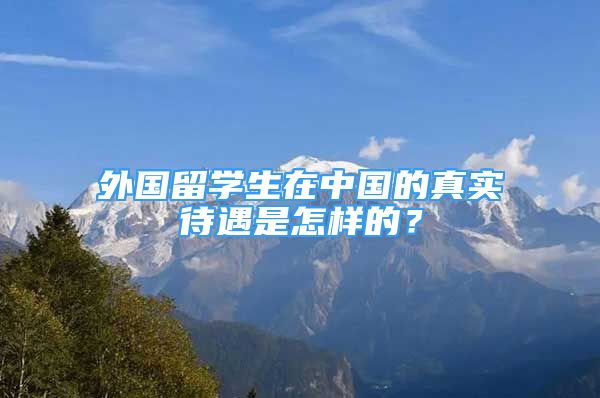 外国留学生在中国的真实待遇是怎样的？